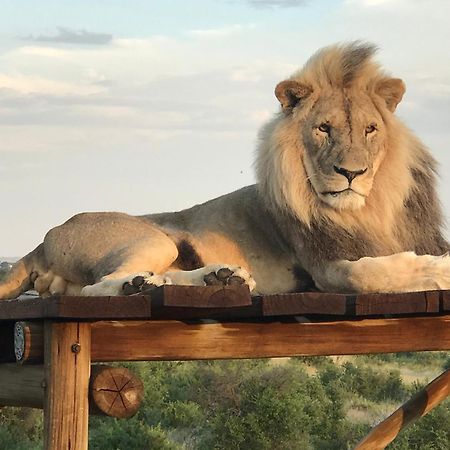 Weltevreden Game Lodge Блумфонтейн Экстерьер фото