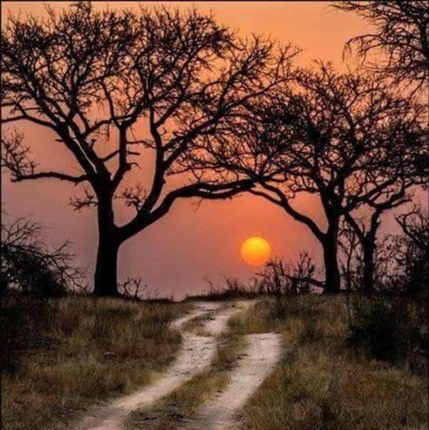 Weltevreden Game Lodge Блумфонтейн Экстерьер фото