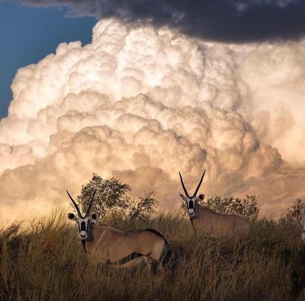 Weltevreden Game Lodge Блумфонтейн Экстерьер фото