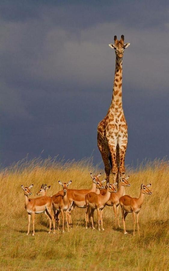Weltevreden Game Lodge Блумфонтейн Экстерьер фото