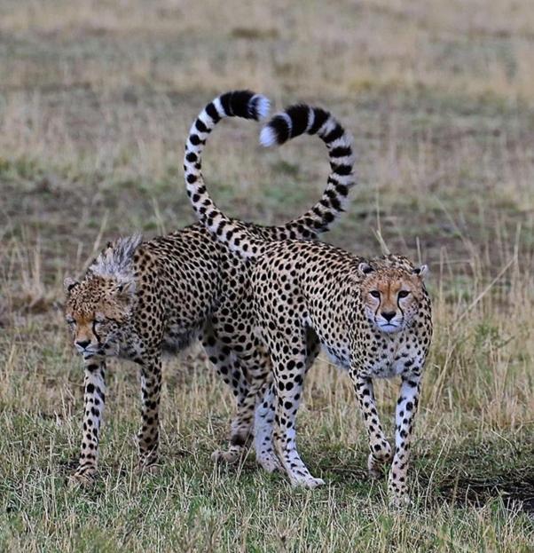 Weltevreden Game Lodge Блумфонтейн Экстерьер фото