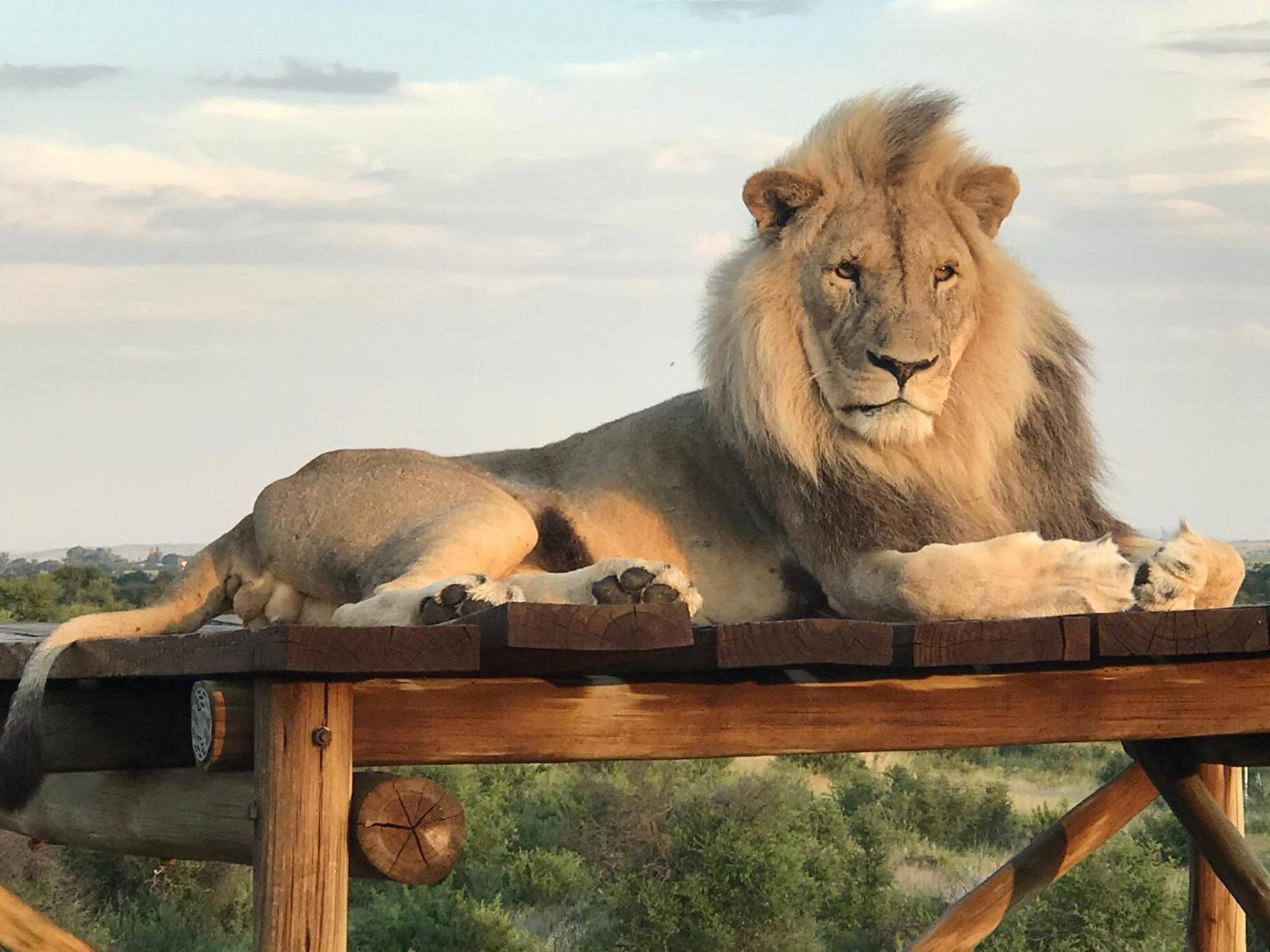 Weltevreden Game Lodge Блумфонтейн Экстерьер фото